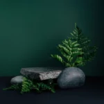 stock-photo-luxurious-empty-product-marble-stone-podium-and-forest-green-leaves-on-dark-background-concept-250nw-1956778966-1 (1)